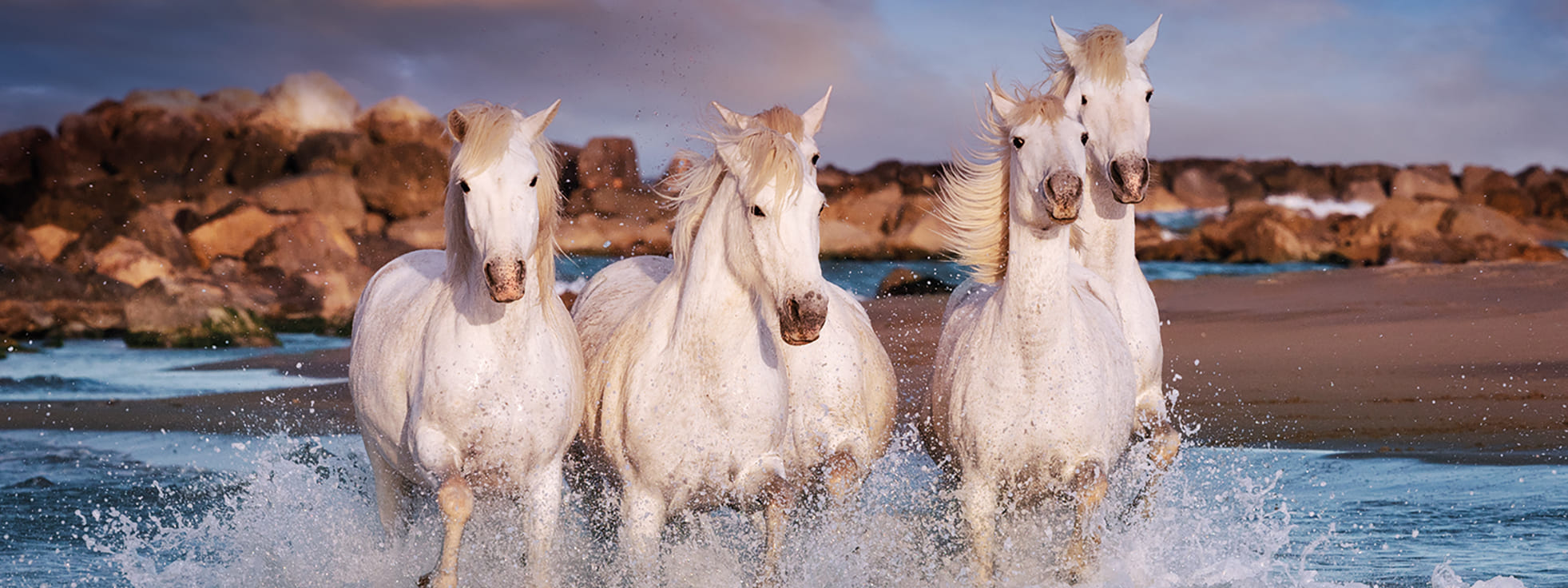 Camargue - Saintes Maries de la Mer